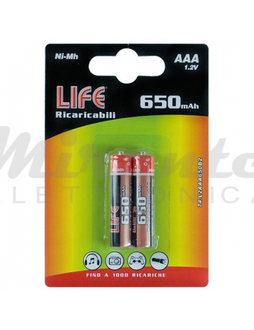 LIFE - Batterie AAA Ricaricabili Ministilo, confezione da 2